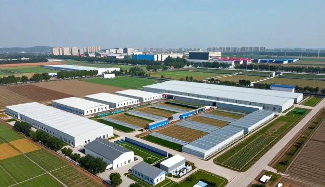 企业财税优化选型中的核心关注点解析